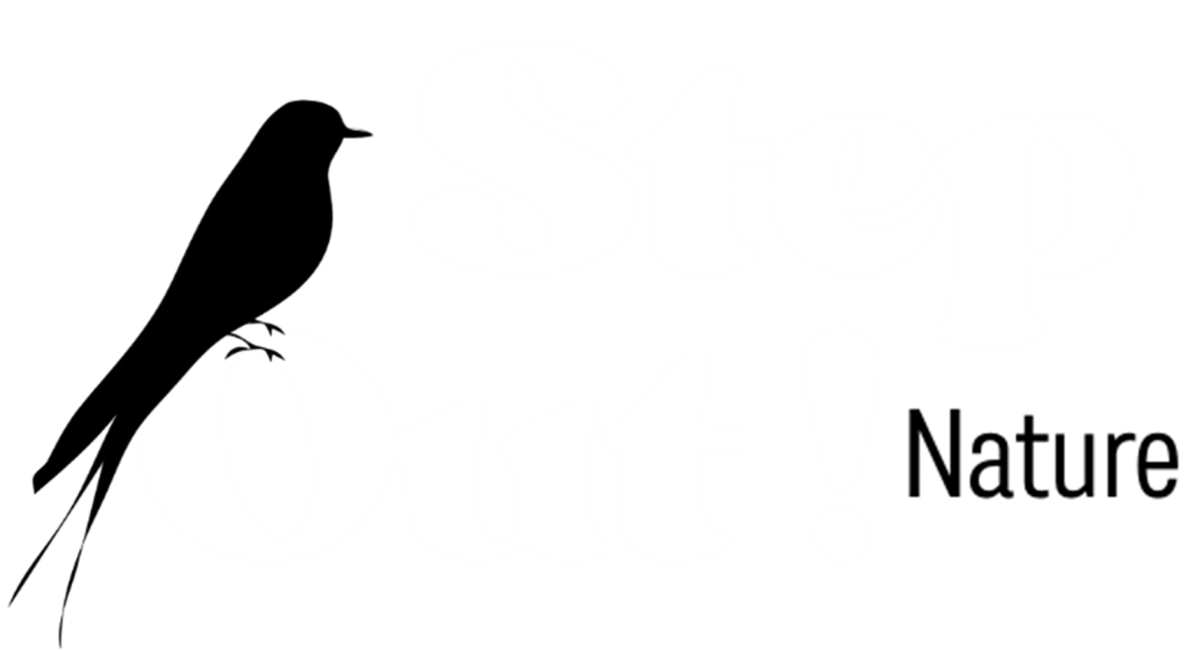 Step Out ! Nature